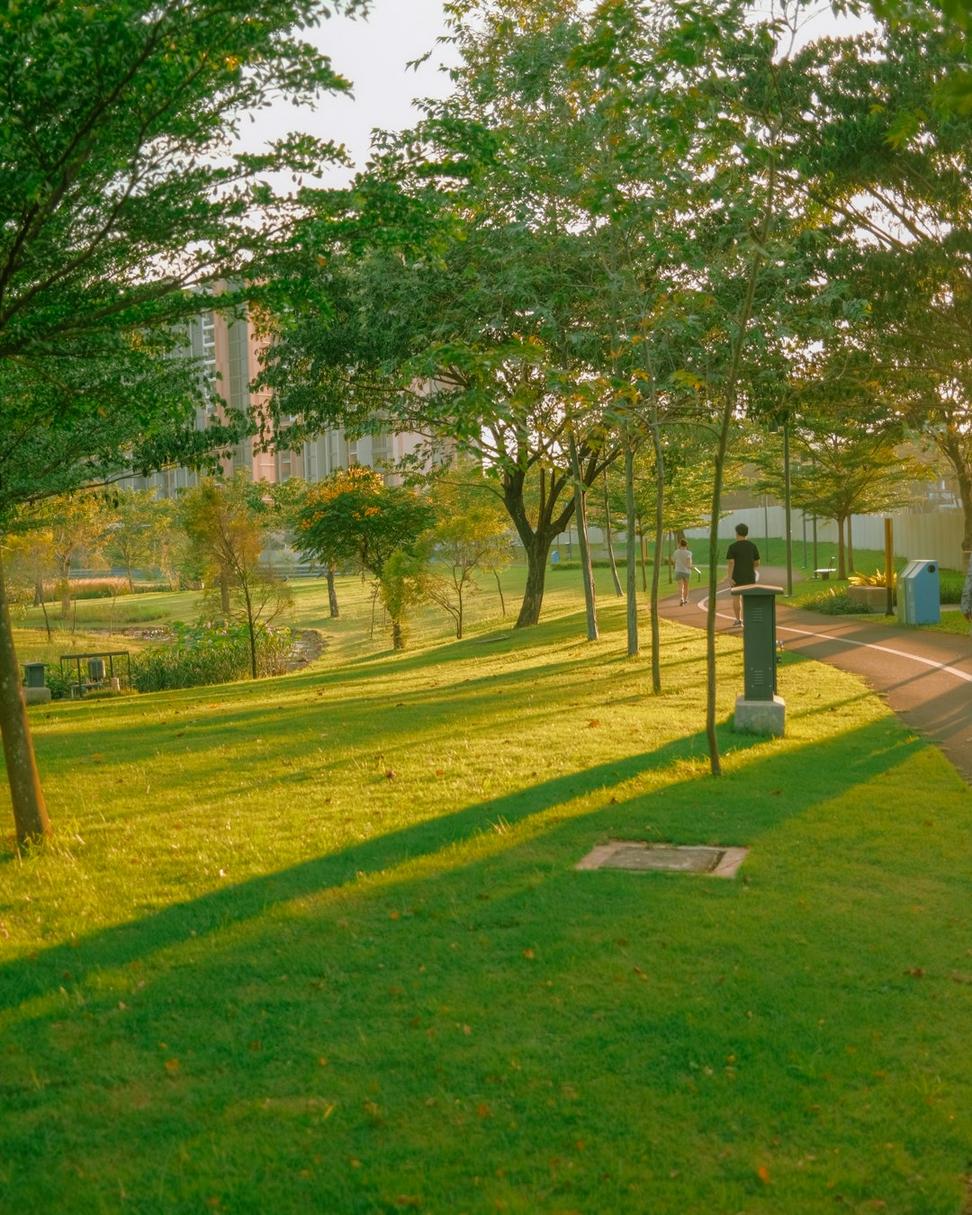 Waterfront Development